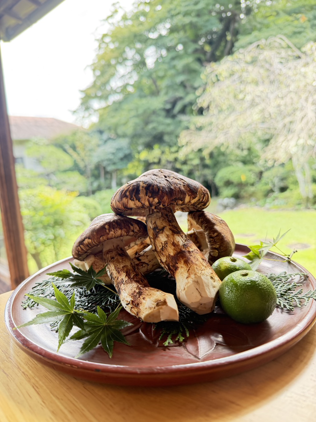 庭園を背景に器に盛り付けた松茸と柑橘