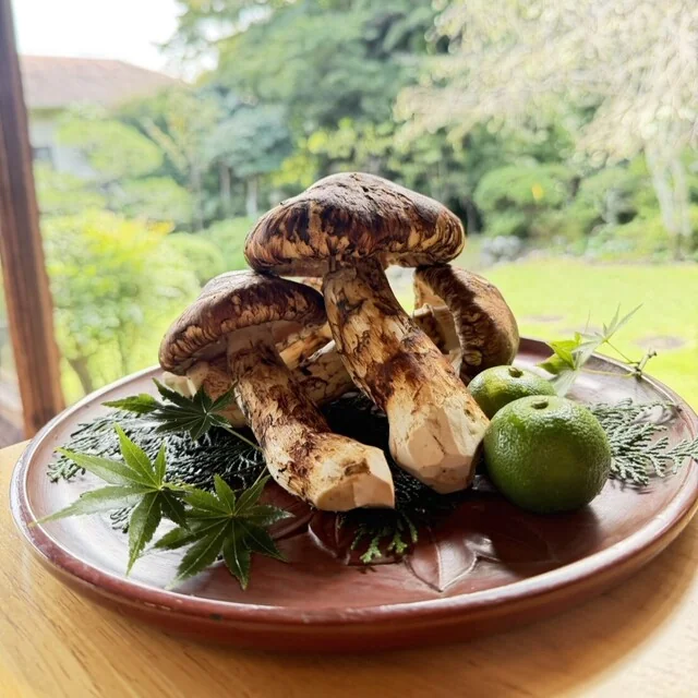 庭園を背景に盛り付けた松茸